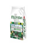 Monge Food Maxi Puppy And Junior 15 Kg